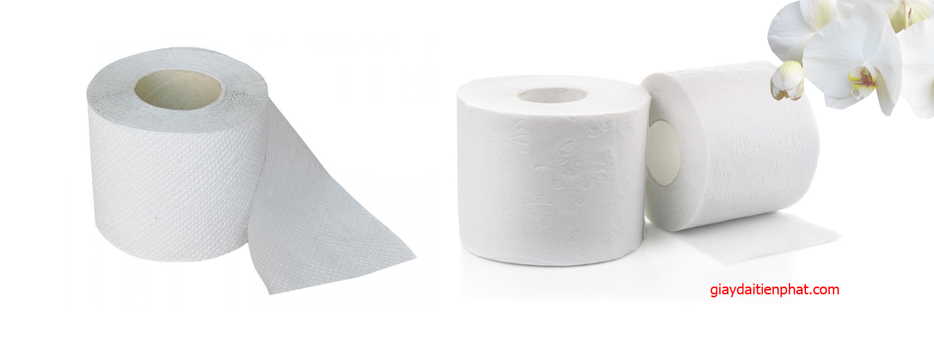Cung cấp giấy vệ sinh giá rẽ cho nhà phân phối